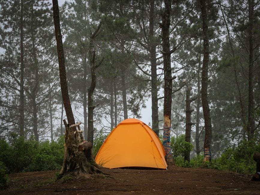 A vibrant orange tent set amidst tall trees in a misty forest, perfect for camping adventures. (Photo by Fikri Dzulfikar on Pexels)
