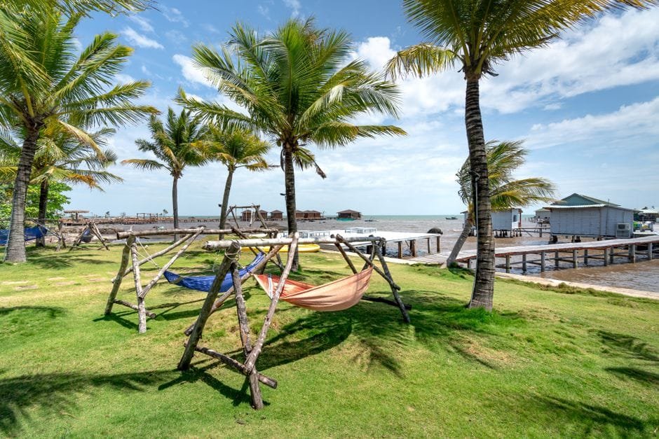 Tropical beachfront setting with hammocks and palm trees, perfect for a tranquil escape. (Photo by Quang Nguyen Vinh on Pexels)