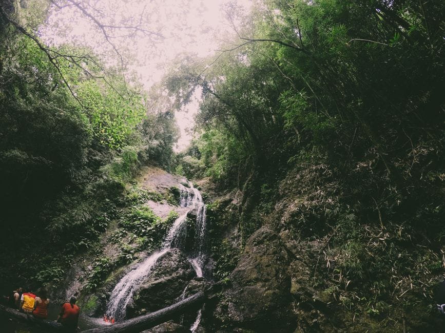 Explore the lush forested scenery and cascading waterfall in Antipolo, a tranquil nature escape. (Photo by DigitalINFJ on Pexels)